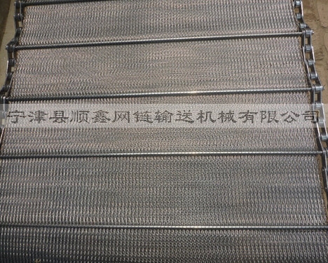江苏人字型链条网带